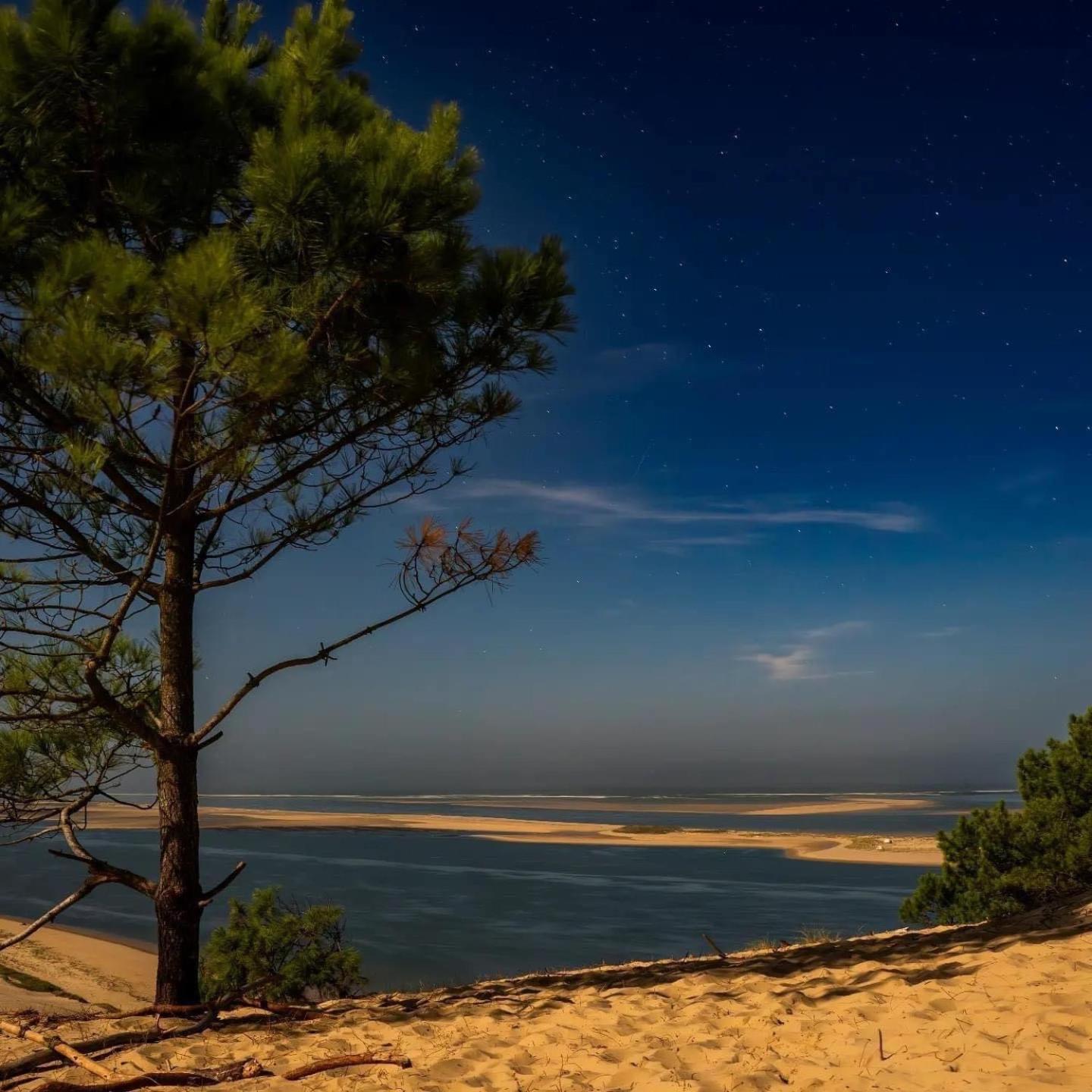 ארס Cocon Entre Presqu'Ile Du Cap Ferret Et Plages Oceanes - Terrasse - 1 Velo Gratuit מראה חיצוני תמונה