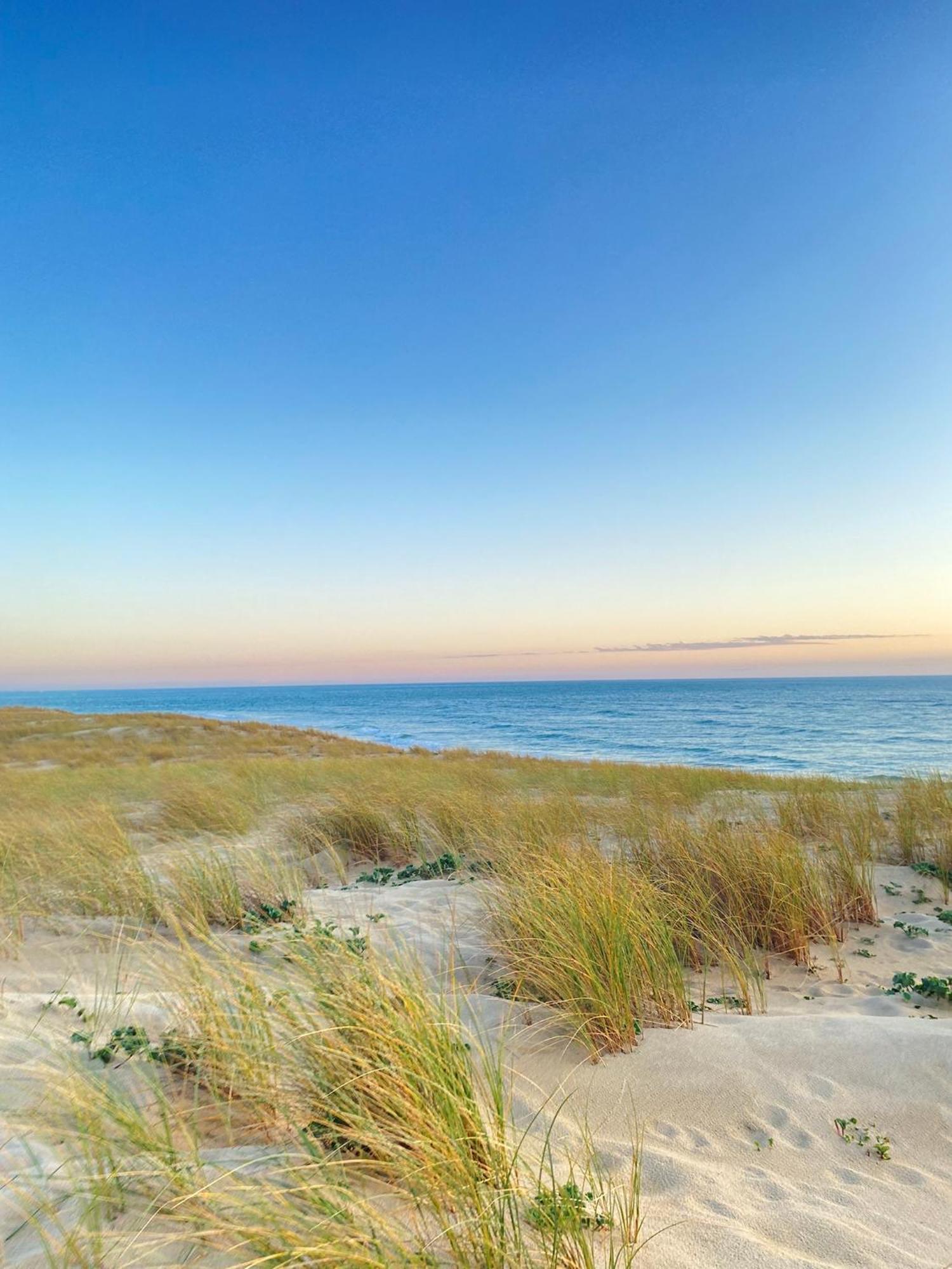 ארס Cocon Entre Presqu'Ile Du Cap Ferret Et Plages Oceanes - Terrasse - 1 Velo Gratuit מראה חיצוני תמונה