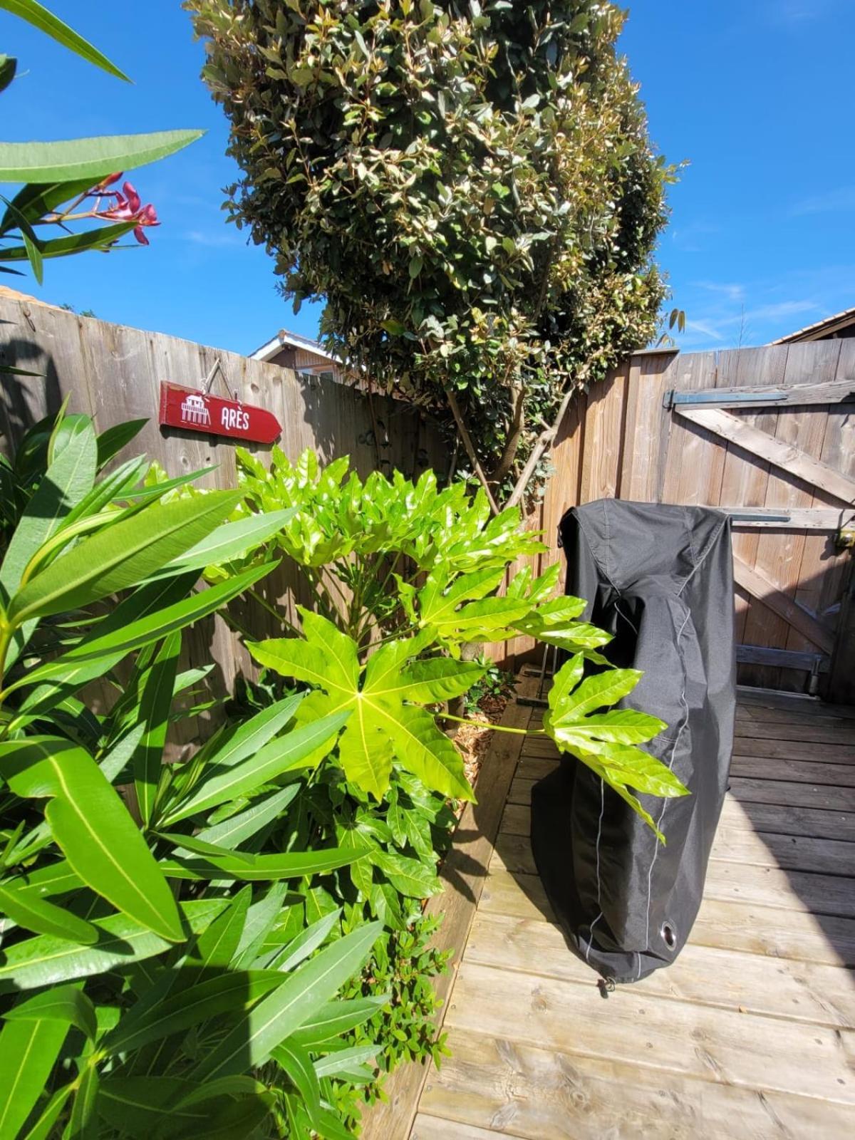 ארס Cocon Entre Presqu'Ile Du Cap Ferret Et Plages Oceanes - Terrasse - 1 Velo Gratuit מראה חיצוני תמונה